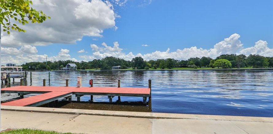 Condo à Tampa, Floride, 3 chambres  № 1913512
