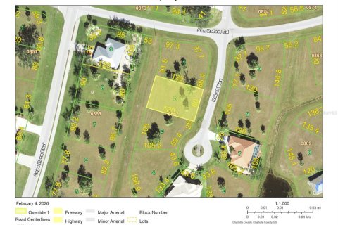 Land in Punta Gorda, Florida № 2160633 - photo 2