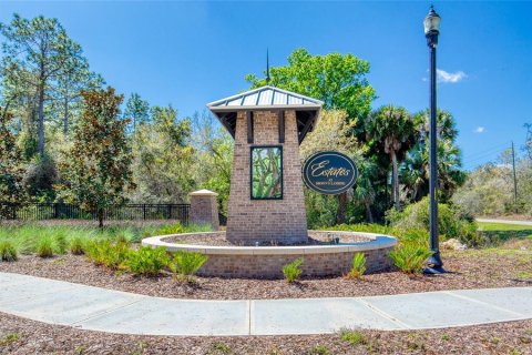 Land in Port Orange, Florida № 2233132 - photo 5