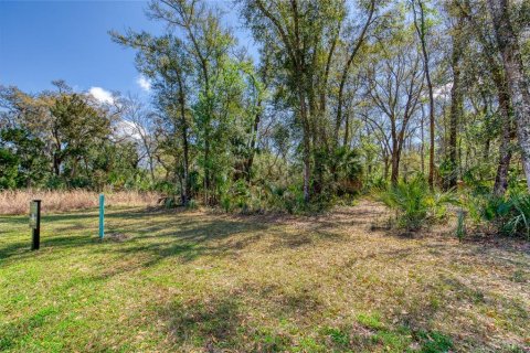 Land in Port Orange, Florida № 2233132 - photo 6