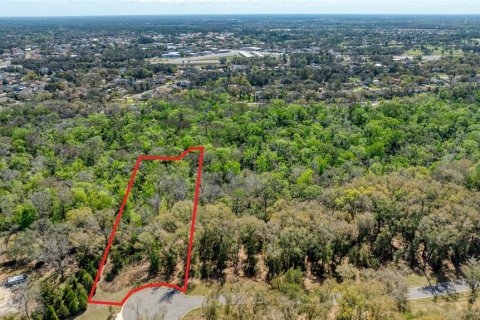 Land in Port Orange, Florida № 2233132 - photo 12