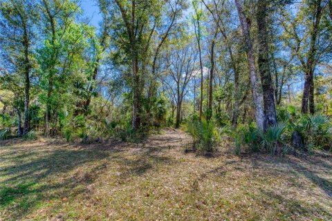 Land in Port Orange, Florida № 2233132 - photo 7