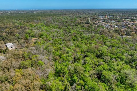Land in Port Orange, Florida № 2233132 - photo 14