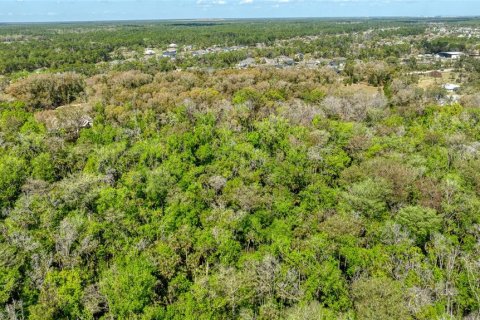 Land in Port Orange, Florida № 2233132 - photo 16