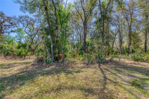 Land in Port Orange, Florida № 2233132 - photo 8