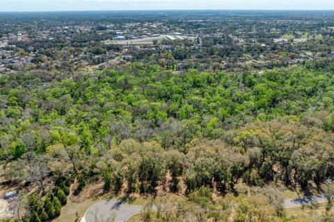 Land in Port Orange, Florida № 2233132 - photo 13