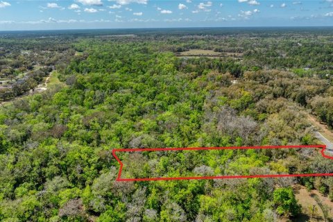 Land in Port Orange, Florida № 2233132 - photo 17