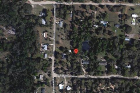 Land in Eustis, Florida № 1717186 - photo 8