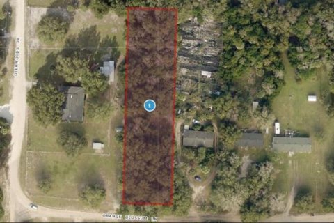 Land in Eustis, Florida № 1717186 - photo 2