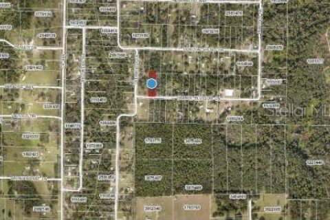 Land in Eustis, Florida № 1717186 - photo 7