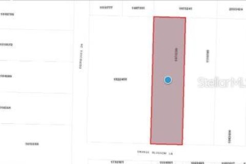 Land in Eustis, Florida № 1717186 - photo 6