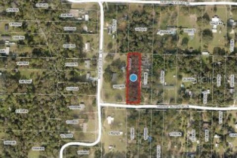 Land in Eustis, Florida № 1717186 - photo 4