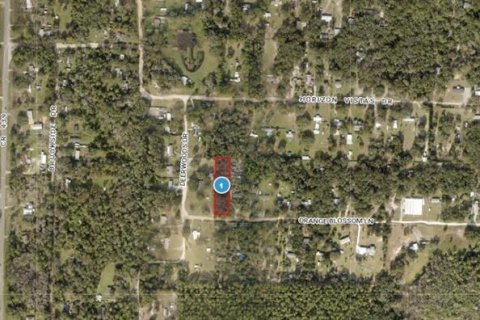 Land in Eustis, Florida № 1717186 - photo 3