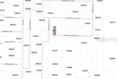 Land in Eustis, Florida № 1717186 - photo 5