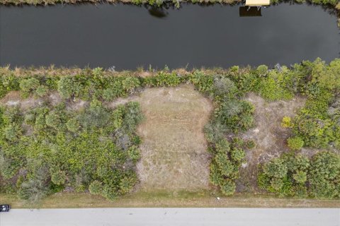 Land in Port Charlotte, Florida № 1552732 - photo 4