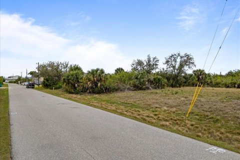 Land in Port Charlotte, Florida № 1552732 - photo 13