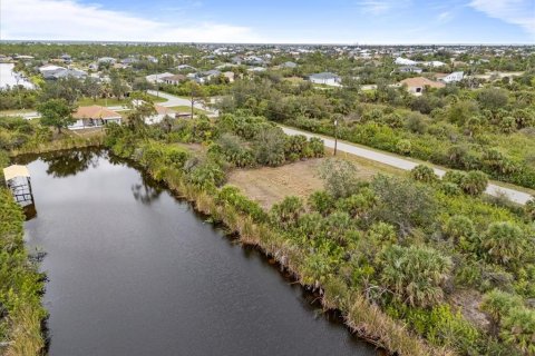 Land in Port Charlotte, Florida № 1552732 - photo 6
