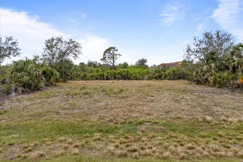 Land in Port Charlotte, Florida № 1552732 - photo 2
