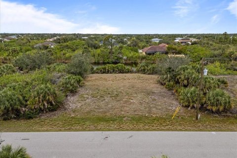 Land in Port Charlotte, Florida № 1552732 - photo 3