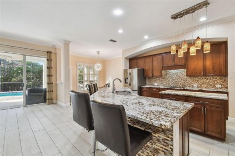 House in Tampa, Florida 5 bedrooms, 380.53 sq.m. № 1420409 - photo 26
