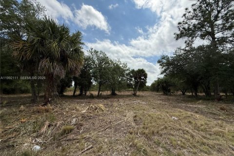 Terreno en venta en Clewiston, Florida № 2052619 - foto 17