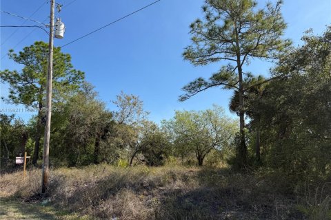 Terreno en venta en Clewiston, Florida № 2052619 - foto 5