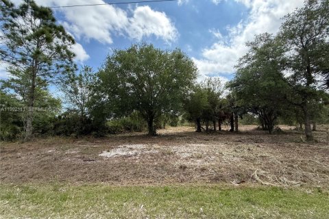 Terreno en venta en Clewiston, Florida № 2052619 - foto 19