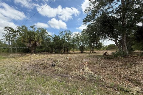 Terreno en venta en Clewiston, Florida № 2052619 - foto 13