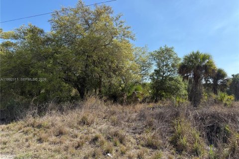Terreno en venta en Clewiston, Florida № 2052619 - foto 10