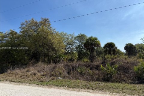 Terreno en venta en Clewiston, Florida № 2052619 - foto 8