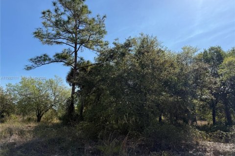 Terreno en venta en Clewiston, Florida № 2052619 - foto 4