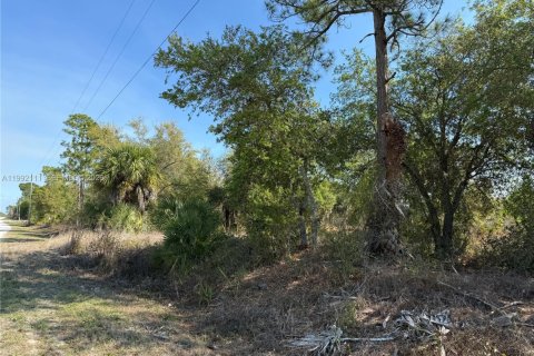 Terreno en Clewiston, Florida № 2052619
