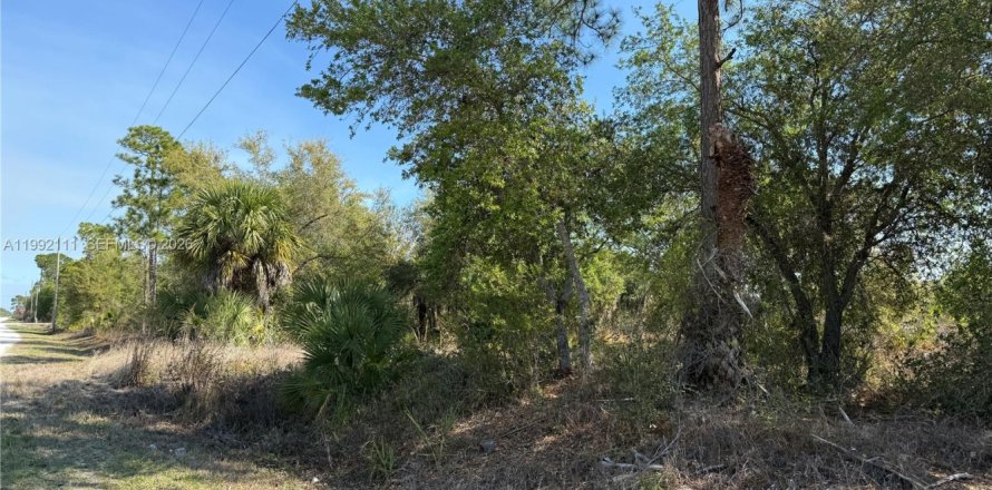 Terreno en Clewiston, Florida № 2052619