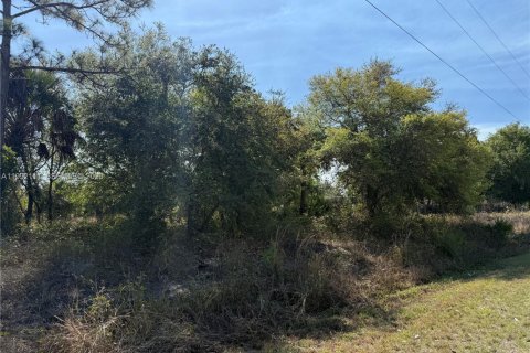 Terreno en venta en Clewiston, Florida № 2052619 - foto 3