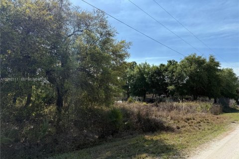 Terreno en venta en Clewiston, Florida № 2052619 - foto 6