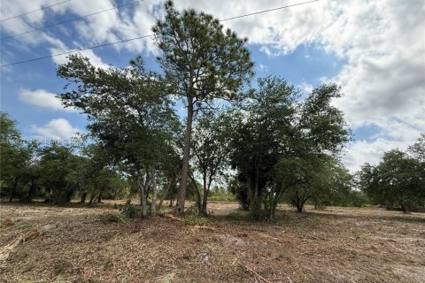 Terreno en venta en Clewiston, Florida № 2052619 - foto 12