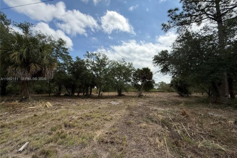 Terreno en venta en Clewiston, Florida № 2052619 - foto 15