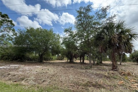 Terreno en venta en Clewiston, Florida № 2052619 - foto 18