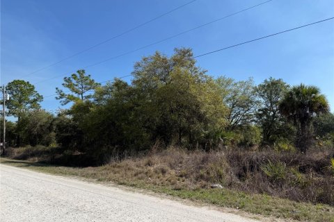 Terreno en venta en Clewiston, Florida № 2052619 - foto 9
