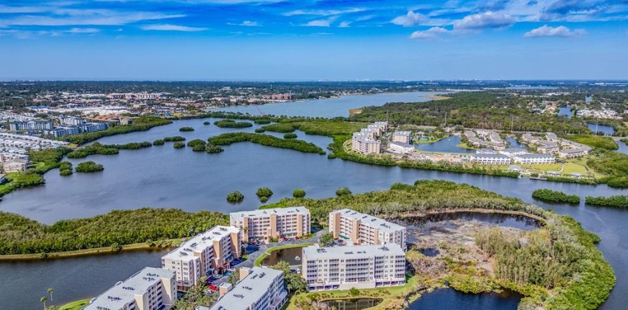 Condo in Saint Petersburg, Florida, 2 bedrooms  № 2101725