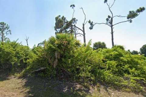 Land in Rotonda, Florida № 2198559 - photo 3