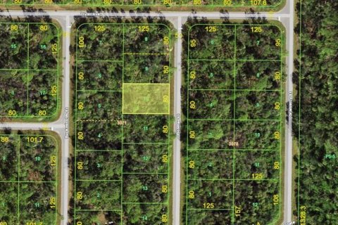 Land in Port Charlotte, Florida № 2161346 - photo 2