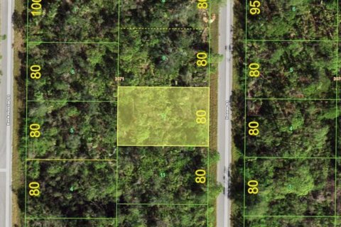 Land in Port Charlotte, Florida № 2161346