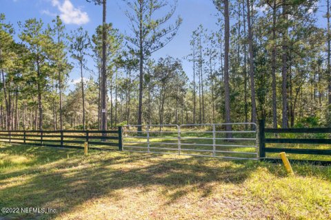 Land in Middleburg, Florida № 765829 - photo 1