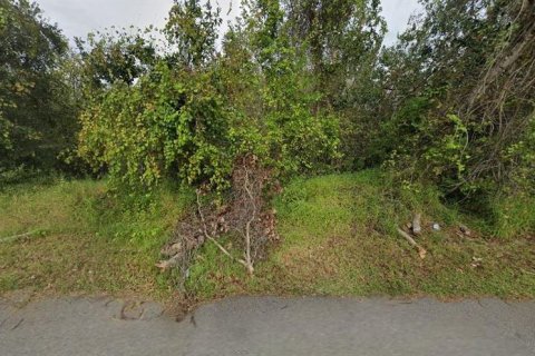 Land in Winter Garden, Florida № 1378539 - photo 2