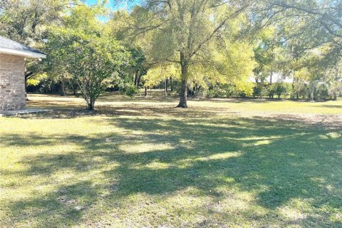 House in DeLand, Florida 5 bedrooms, 287.25 sq.m. № 1720538 - photo 3