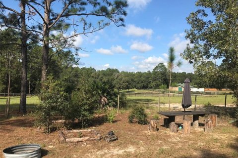 Land in Ocala, Florida № 1832792 - photo 17