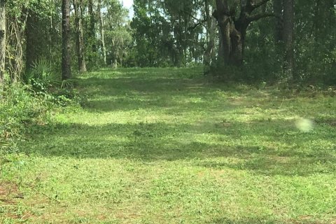 Land in Ocala, Florida № 1832792 - photo 12