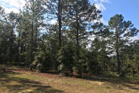Land in Ocala, Florida № 1832792 - photo 16