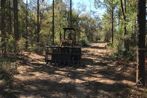 Land in Ocala, Florida № 1832792 - photo 6